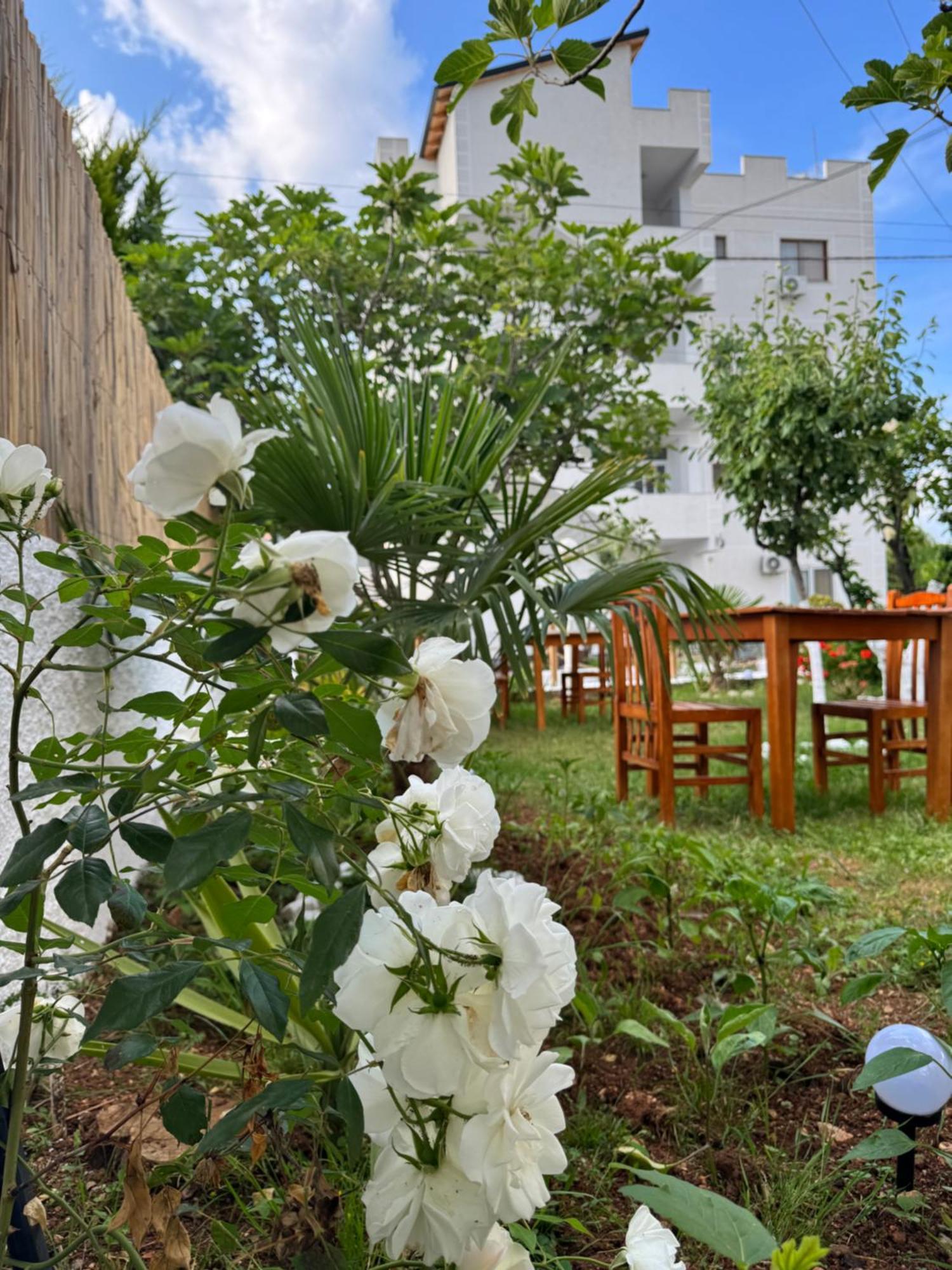 Central Garden Residence Sofia - Free Parking クサミル エクステリア 写真